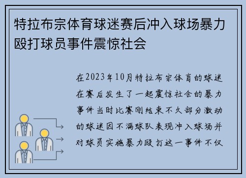 特拉布宗体育球迷赛后冲入球场暴力殴打球员事件震惊社会 特拉布宗体育球迷赛后冲入球场暴力殴打球员事件震惊社会