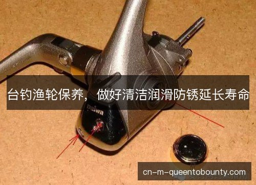 台钓渔轮保养，做好清洁润滑防锈延长寿命